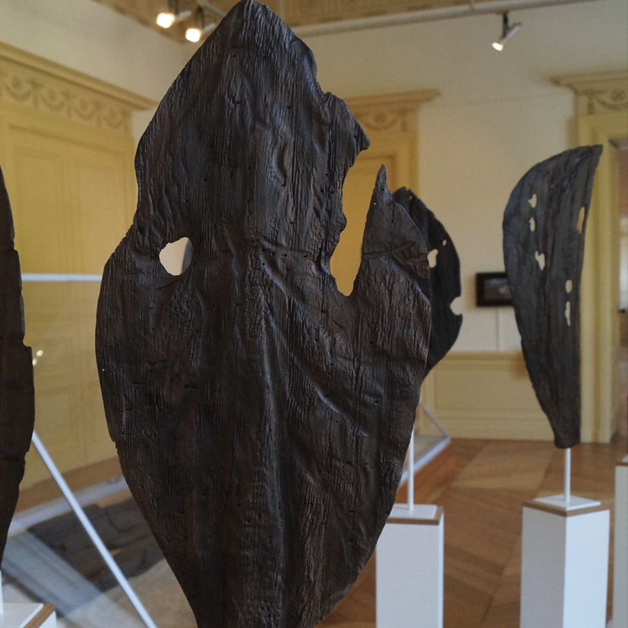 Pirogue monoxyle Brin de Matière